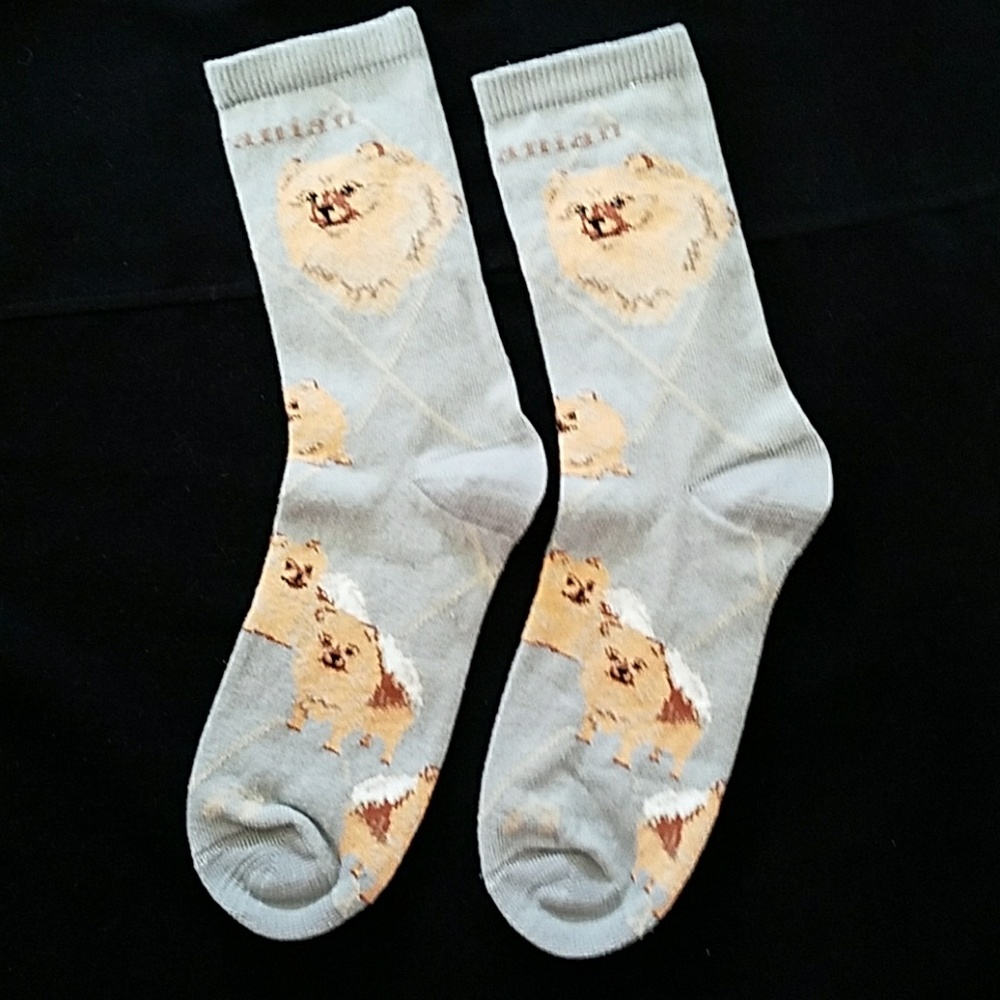 Only 1 left 🎉New POMERANIAN socks - Picture 5 of 7