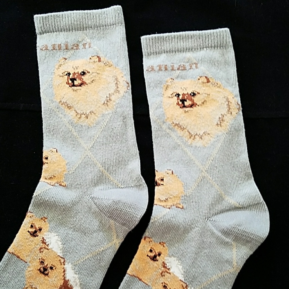 Only 1 left 🎉New POMERANIAN socks - Picture 6 of 7