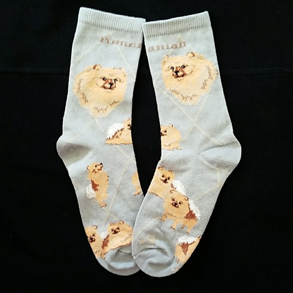 Accessories - Only 1 left 🎉New POMERANIAN socks