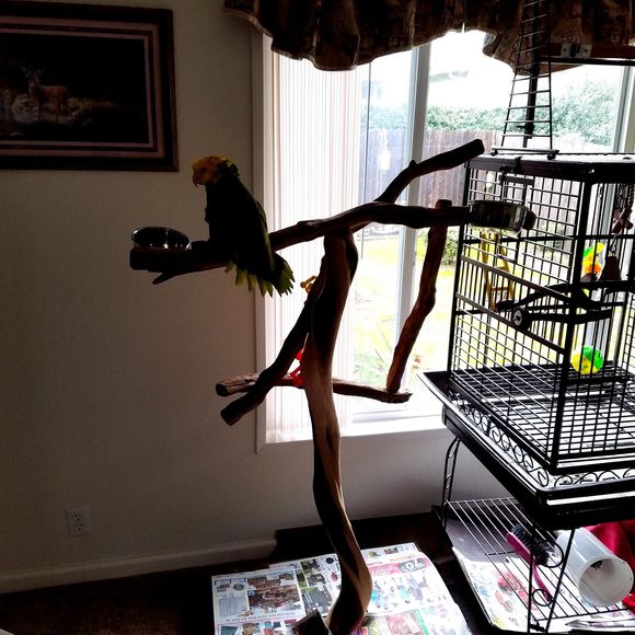 Meet your Posher, Ladina - Picture 1 of 1