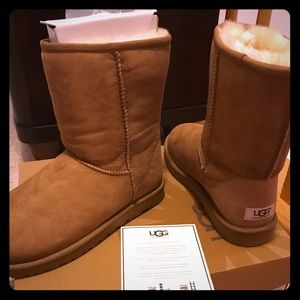 Brand New Size 8 Chestnut Uggs!