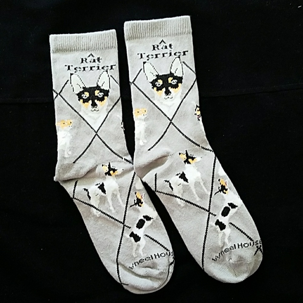 🐕New RAT TERRIER socks - Picture 2 of 7