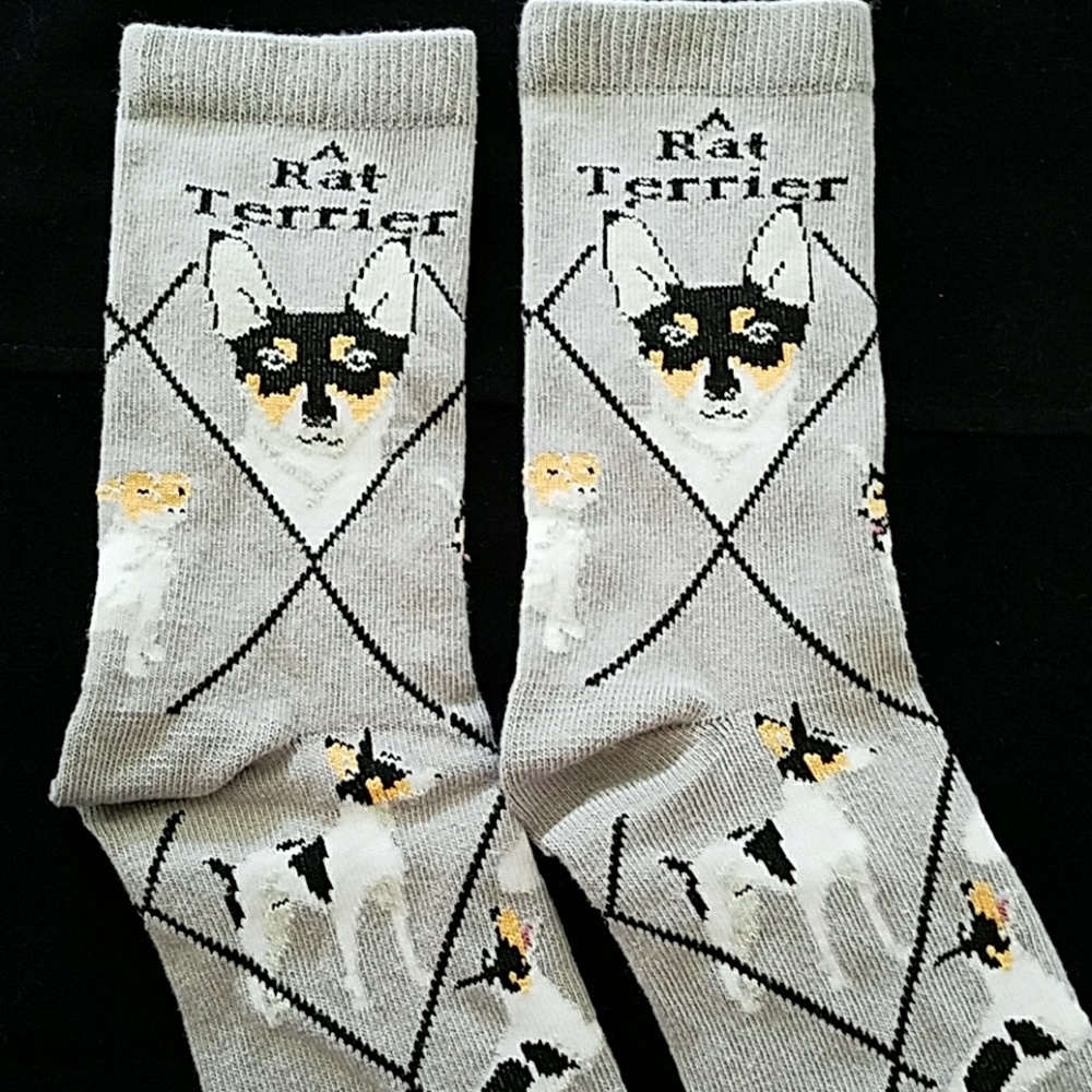 🐕New RAT TERRIER socks - Picture 3 of 7
