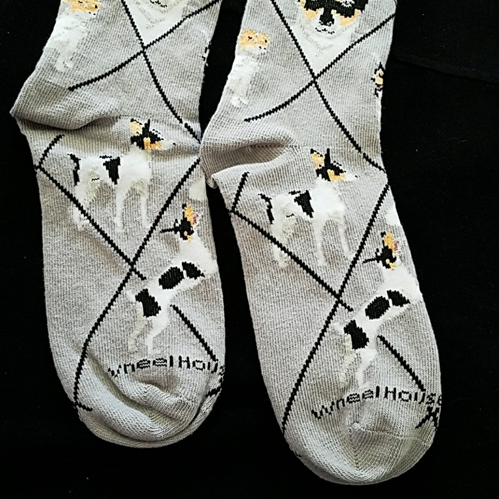 🐕New RAT TERRIER socks - Picture 4 of 7