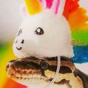 Meet your Posher, Jessica