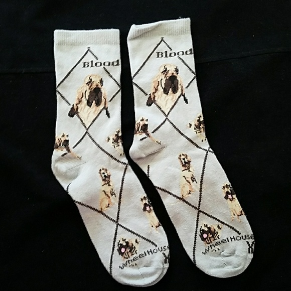 Only 1 left 🌟New BLOODHOUND socks - Picture 2 of 7
