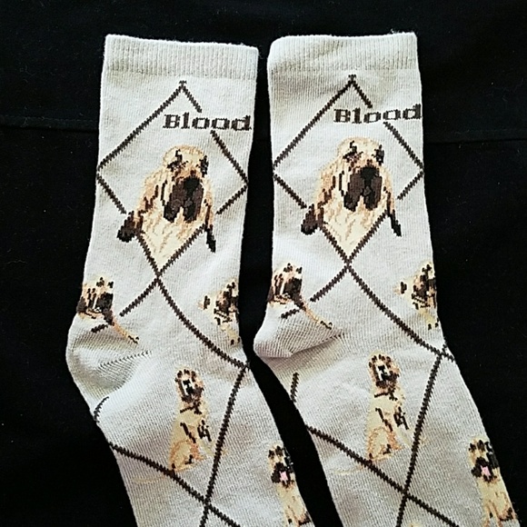 Only 1 left 🌟New BLOODHOUND socks - Picture 3 of 7