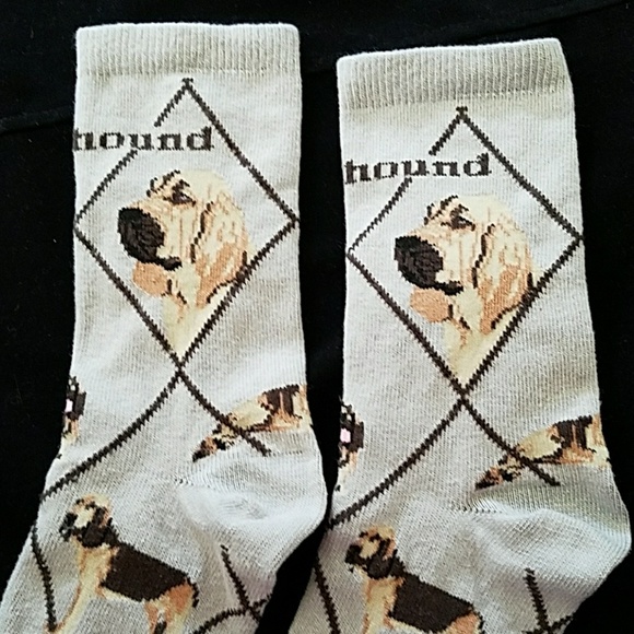 Only 1 left 🌟New BLOODHOUND socks - Picture 6 of 7