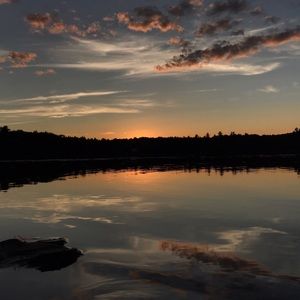 Meet your Posher, Meadow