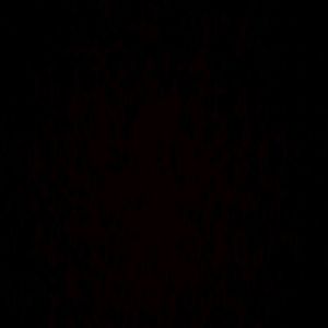 Meet your Posher, Averie