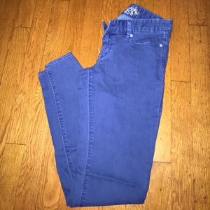 Navy Blue Express Jeggings