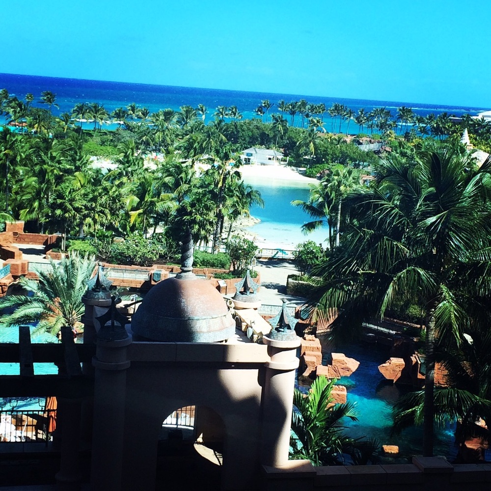 Meet your Posher, Ant