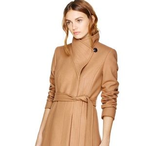 Aritzia Babaton wool/cashmere blend coat