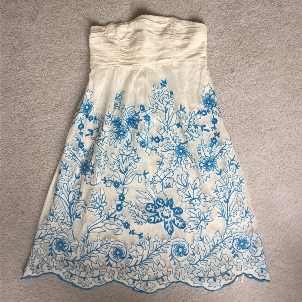 Beautiful Anthropologie Dress