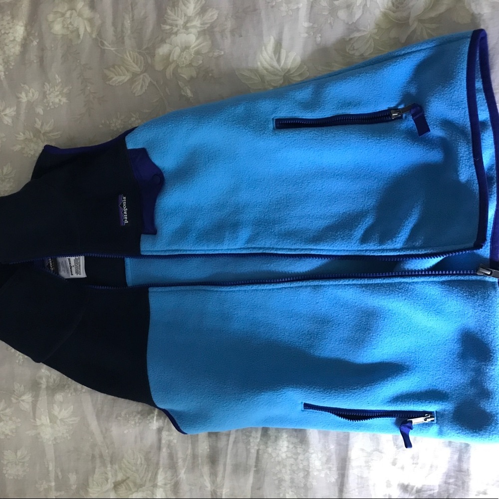 Patagonia synchilla vest