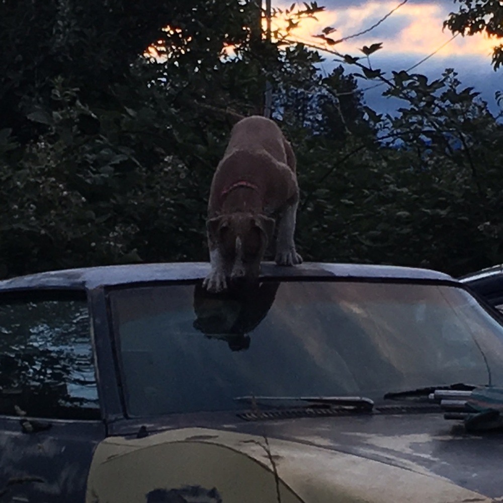 Meet your Posher, Natashia