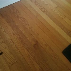 Meet your Posher, Jonas