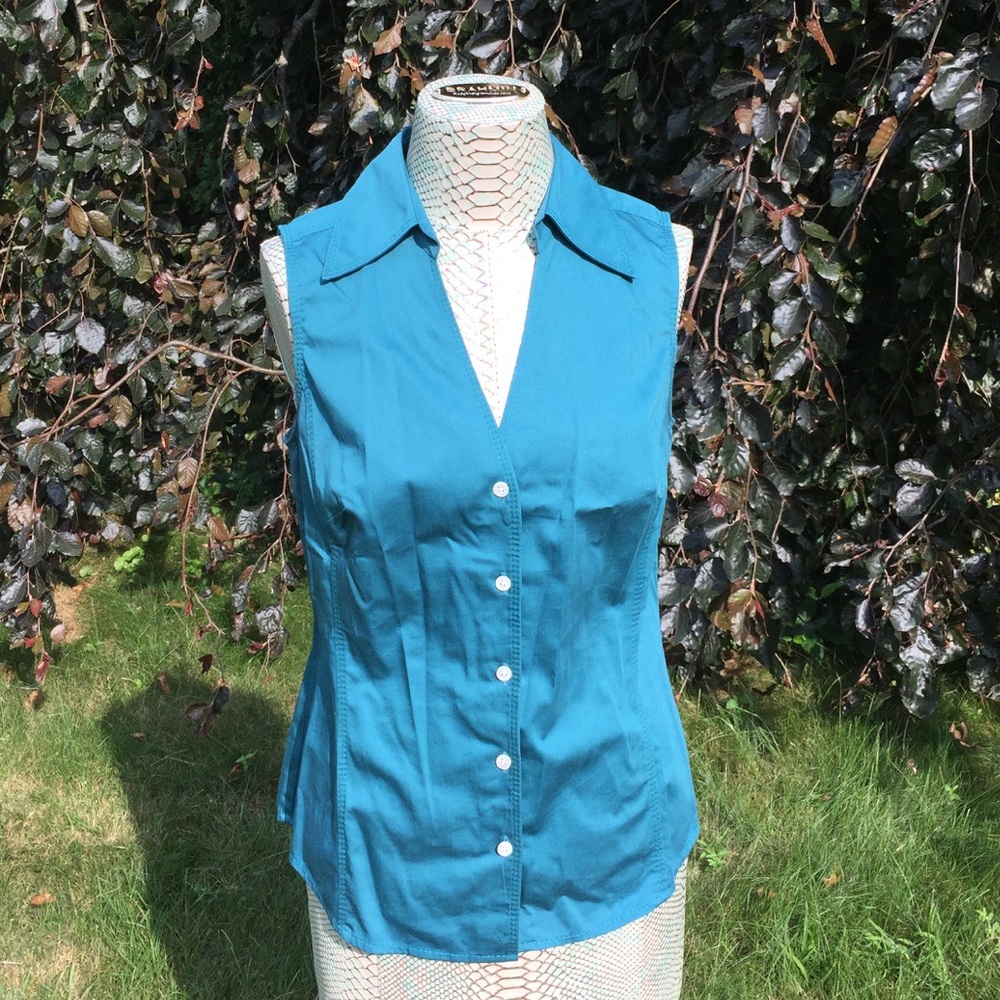 Ann Taylor Blue Sleeveless Button Down Shirt