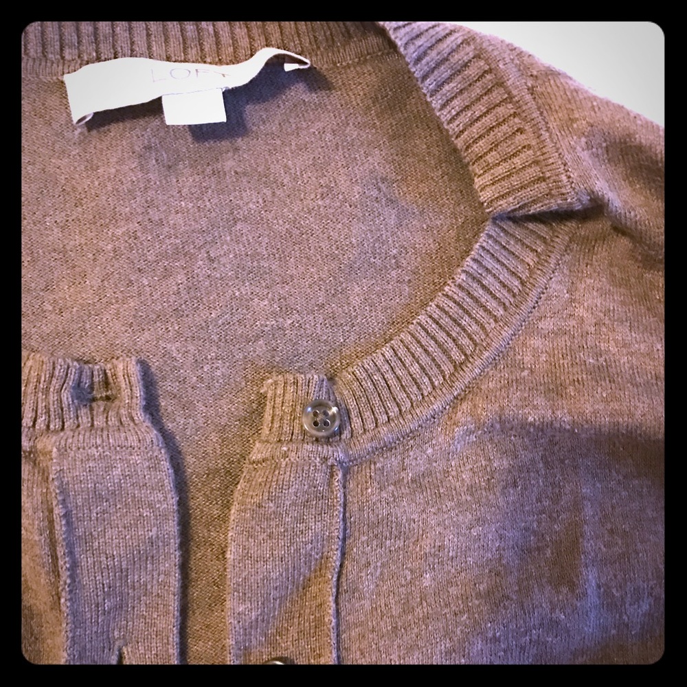 Ann Taylor Loft sweater