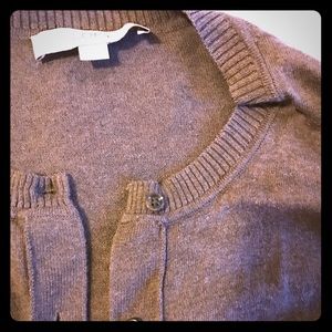 Ann Taylor Loft sweater