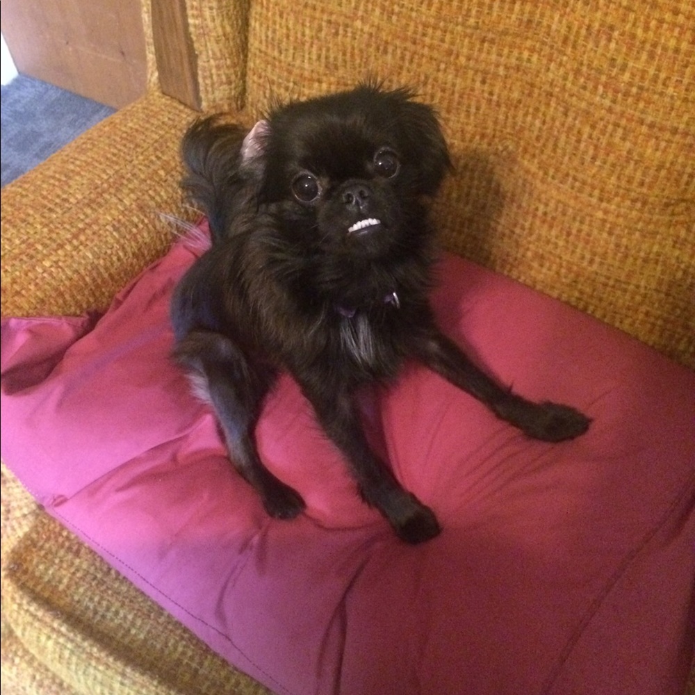 Meet your Posher, Laura