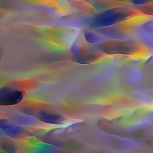 Meet your Posher, Miaya