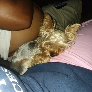 Meet your Posher, Kari