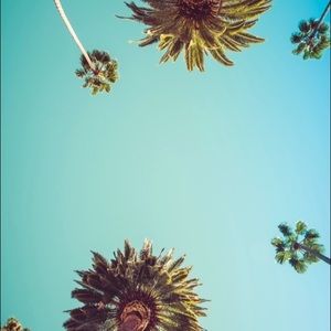 Meet your Posher, Delaney