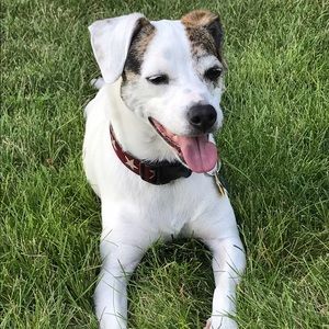 Meet your Posher, Miles