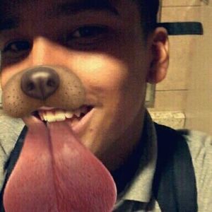 Meet your Posher, Joey