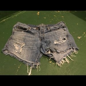 Distressed Shorts
