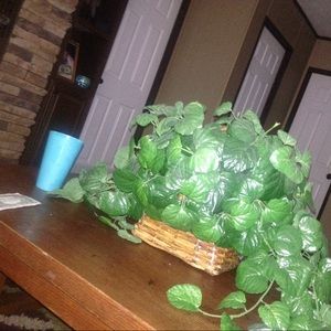 Meet your Posher, Leniyah