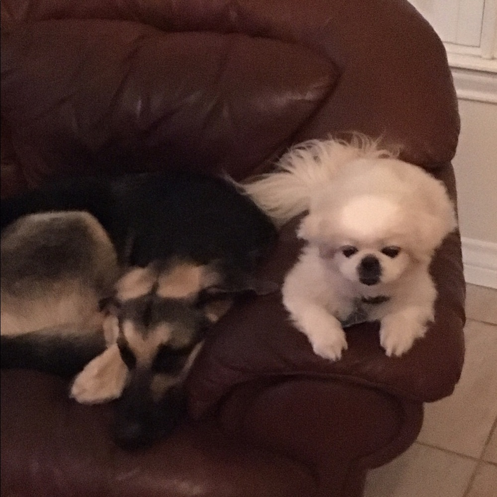 Meet your Posher, Melba