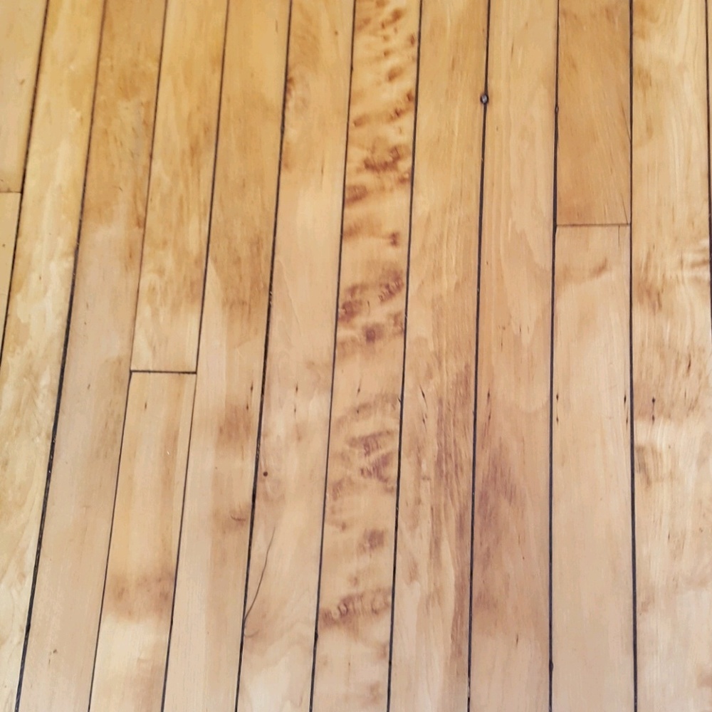 Meet your Posher, Erika