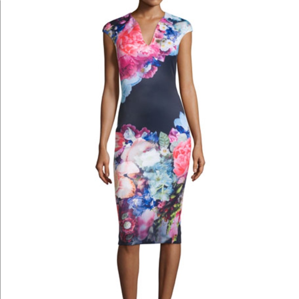 Ted Baker Brynee midi dress