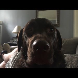 Meet your Posher, Sean