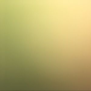 Meet your Posher, Ellen