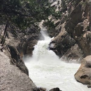 Meet your Posher, Carlie