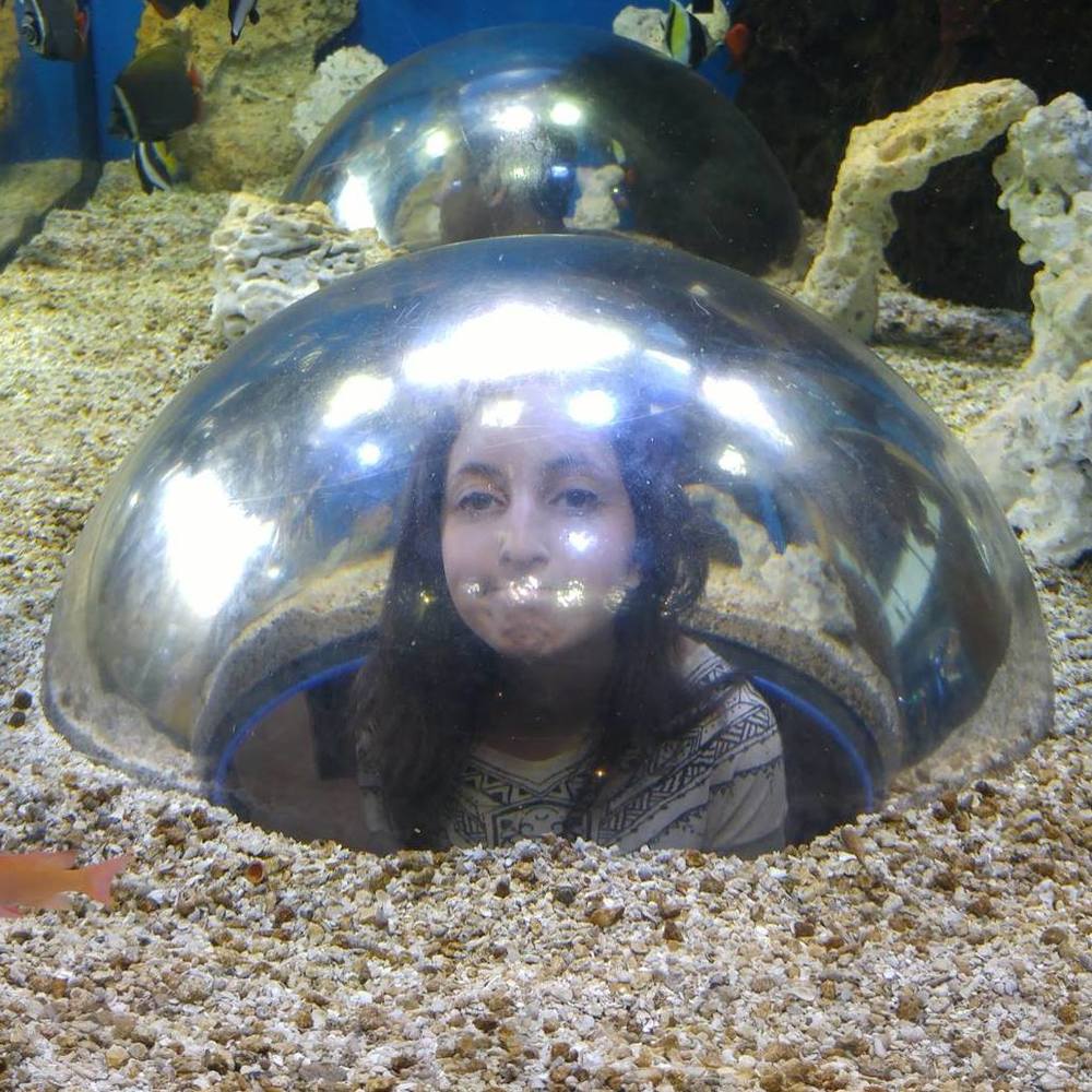 Meet your Posher, Carly