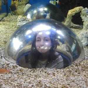 Meet your Posher, Carly