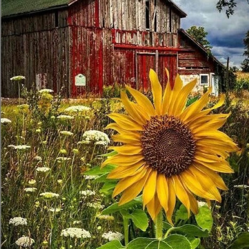 Reasonable offers considered