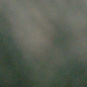 Meet your Posher, Irene