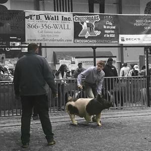 Meet your Posher, Justin