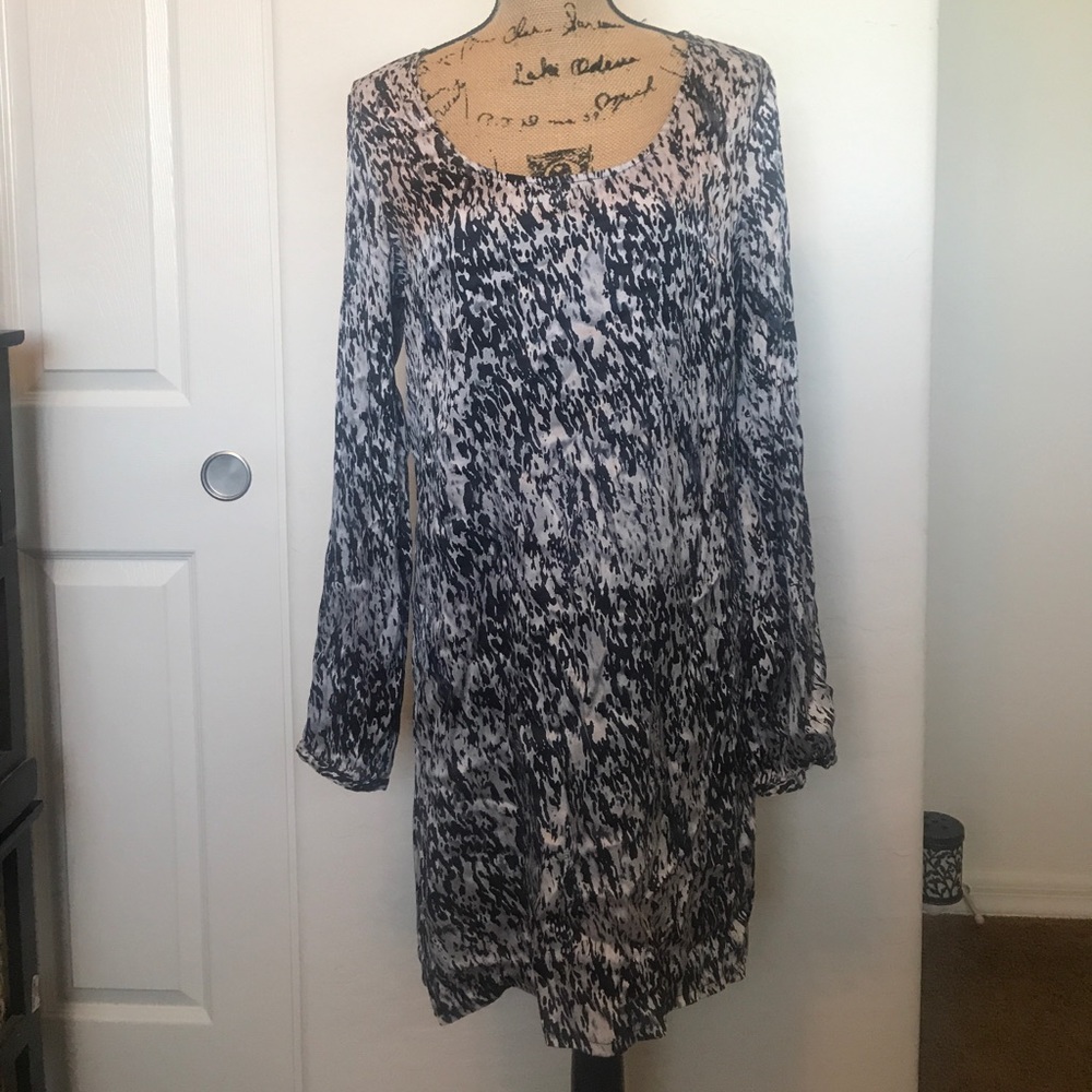 Silk express dress