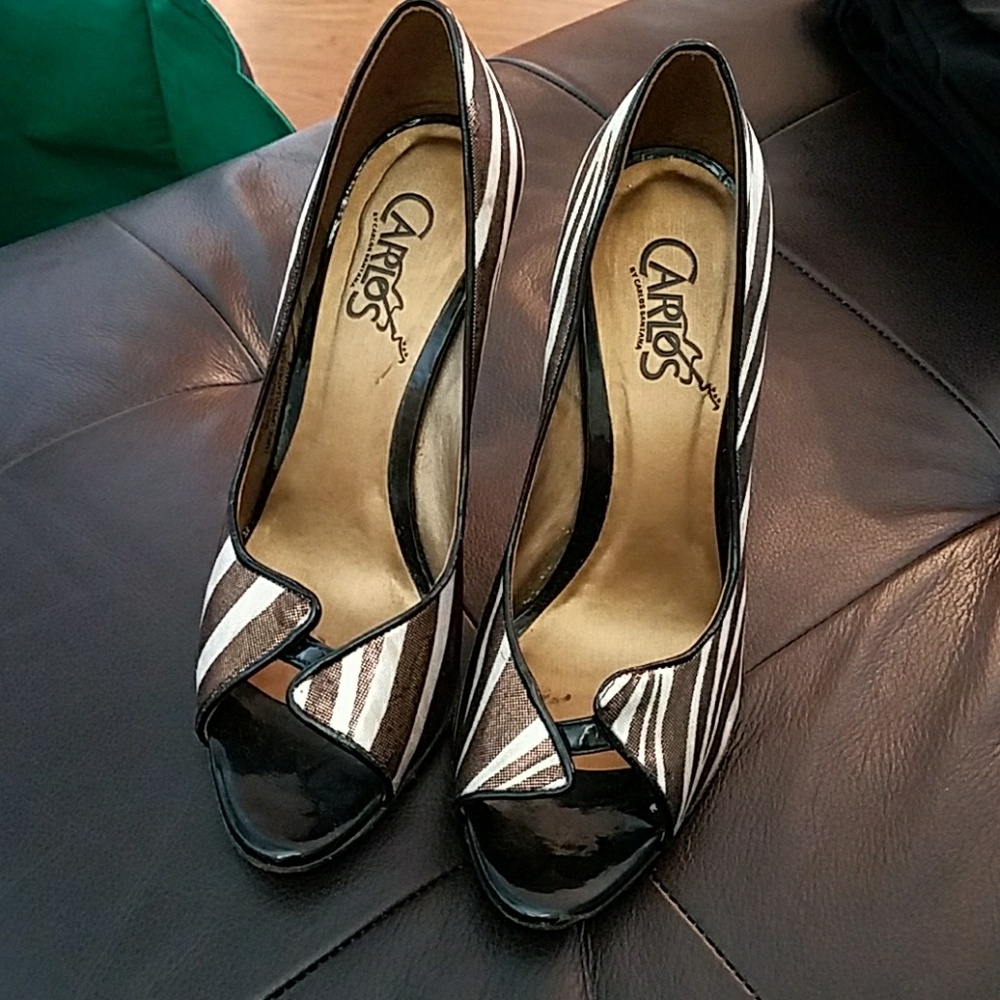 Beautiful zebra striped heals