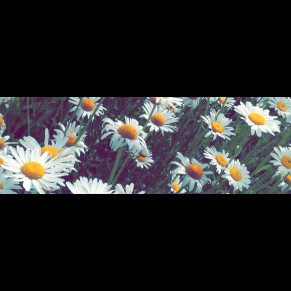 Meet your Posher, Taylor - Picture 1 of 1