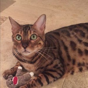 Meet your Posher, Candy