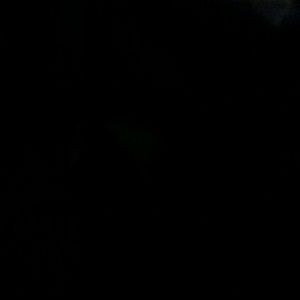 Meet your Posher, Ivan