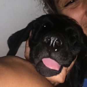 Meet your Posher, Jo