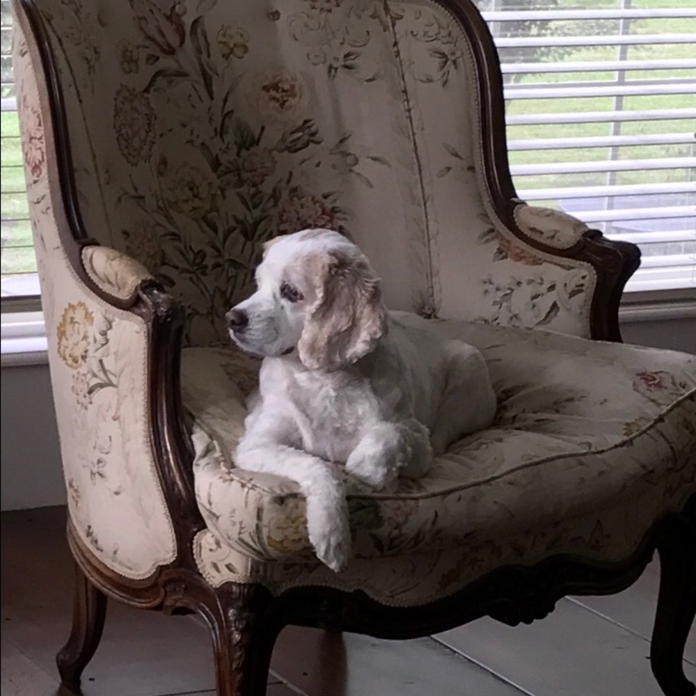 Meet your Posher, Laura